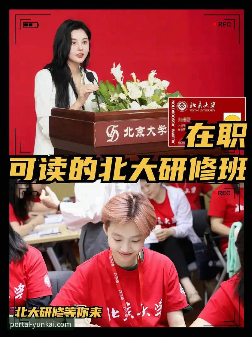 资深用户亲授：云开体育官网高效使用心得与创新探索